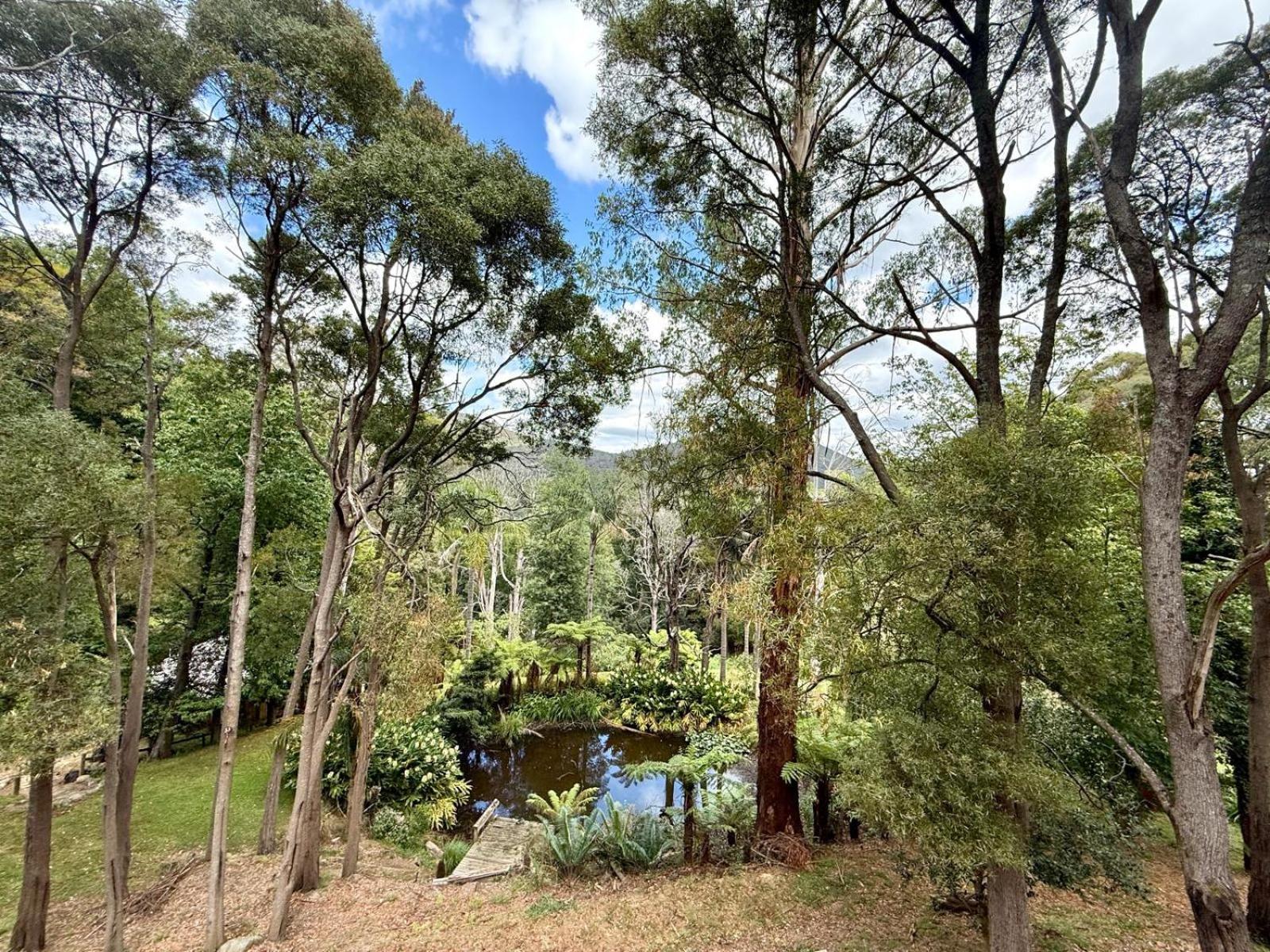 Forget Me Not Cottages Warburton Buitenkant foto